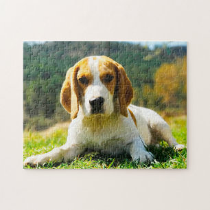 Bengelse jachthonden. legpuzzel