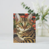 Bengkaarten en stickers briefkaart (Staand voorkant)