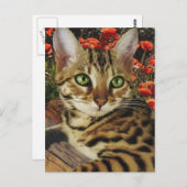 Bengkaarten en stickers briefkaart (Voorkant / Achterkant)