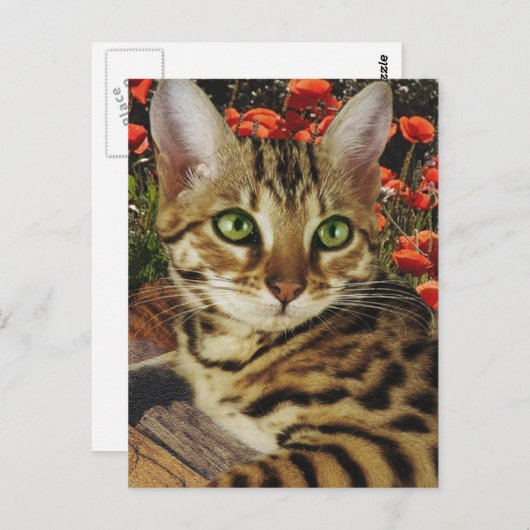 Bengkaarten en stickers briefkaart (Voorkant / Achterkant)