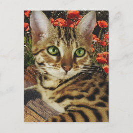 Bengkaarten en stickers briefkaart