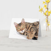 Bengkat ligt neer kaart (Gele Bloem)