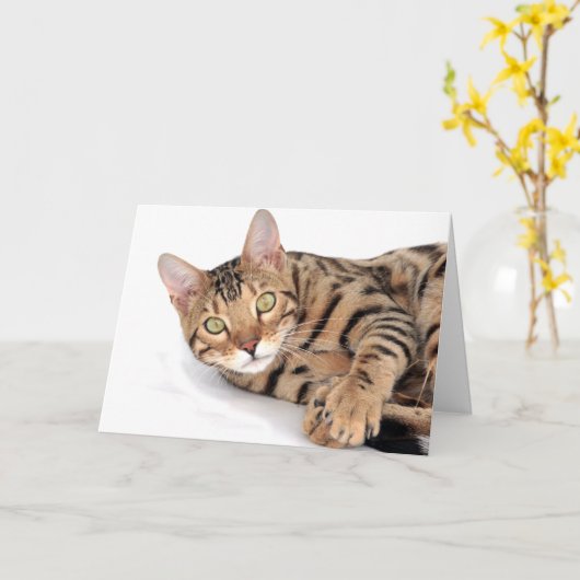 Bengkat ligt neer kaart (Gele Bloem)