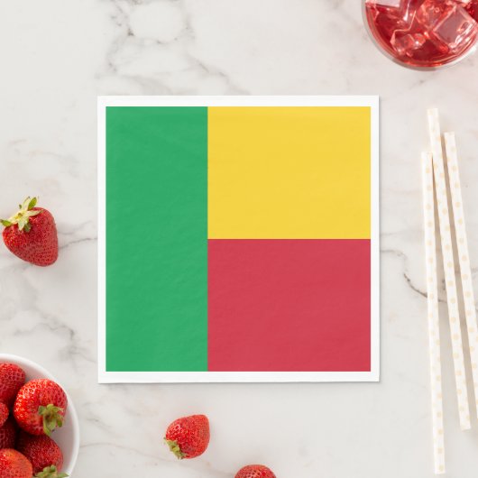 Benin Flag Servet (Insitu)
