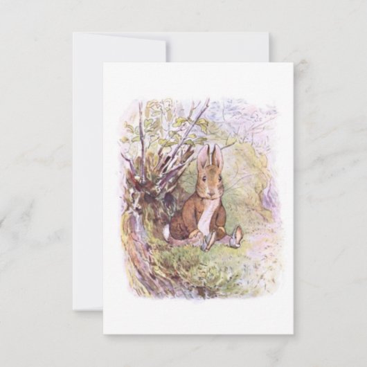 Benjamin Bunny (door Beatrix Potter) Kaart (Voorkant)
