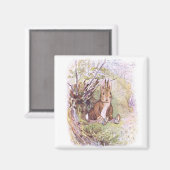 Benjamin Bunny (door Beatrix Potter) Magneet (Voorkant / Achterkant)