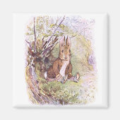 Benjamin Bunny (door Beatrix Potter) Magneet (Voorkant)