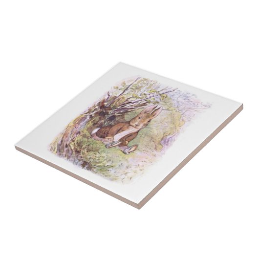 Benjamin Bunny (door Beatrix Potter) Tegeltje (Zijkant)