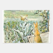 “Benjamin Bunny kijkt naar boer Brown” door Beatri Inpakpapier Vel (Voorkant 3)