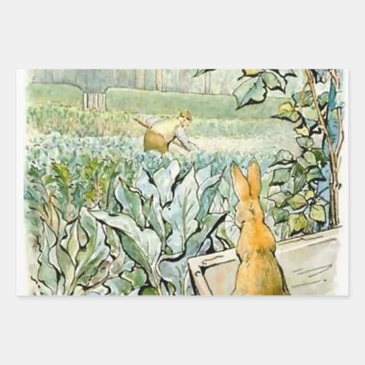 “Benjamin Bunny kijkt naar boer Brown” door Beatri Inpakpapier Vel (Voorkant 2)