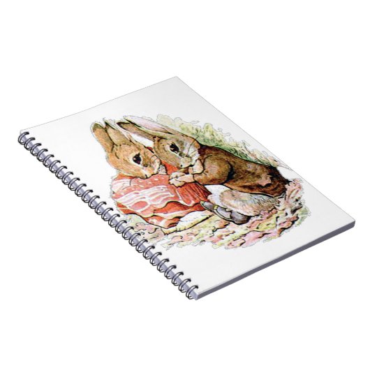 Benjamin Bunny stuitte op Peter Rabbit Notitieboek (Rechterzijde)