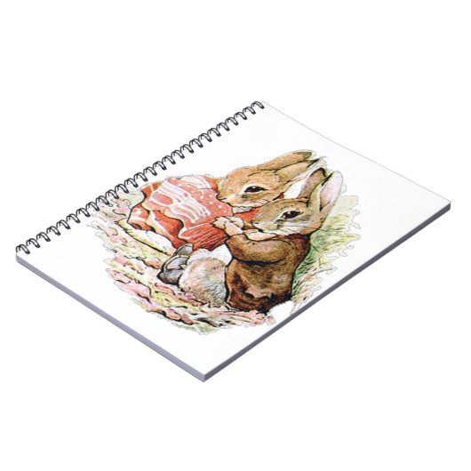 Benjamin Bunny stuitte op Peter Rabbit Notitieboek (Linkerzijde)