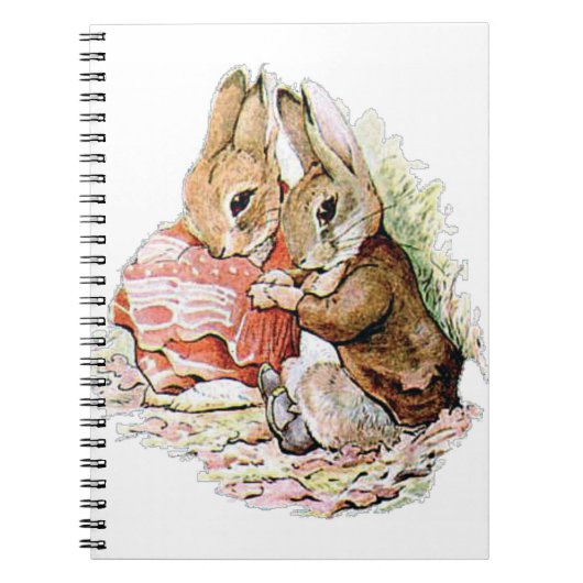 Benjamin Bunny stuitte op Peter Rabbit Notitieboek (Voorkant)