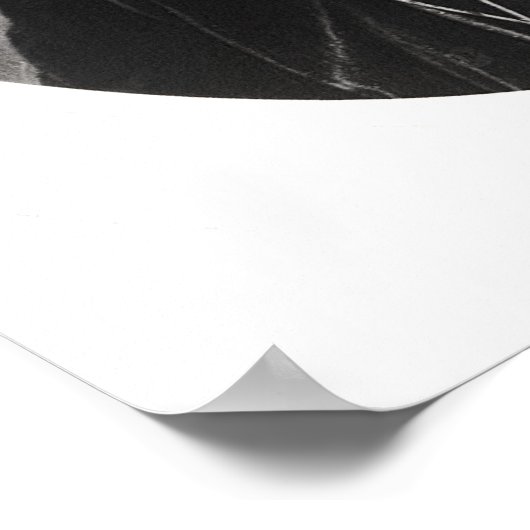 Benjamin Disraeli c.1874 Poster (Hoek)