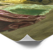 Benjamin Franklin 1868 Poster (Hoek)