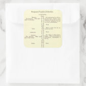 Benjamin Franklin Autobiografie Schema stickers (Tas)