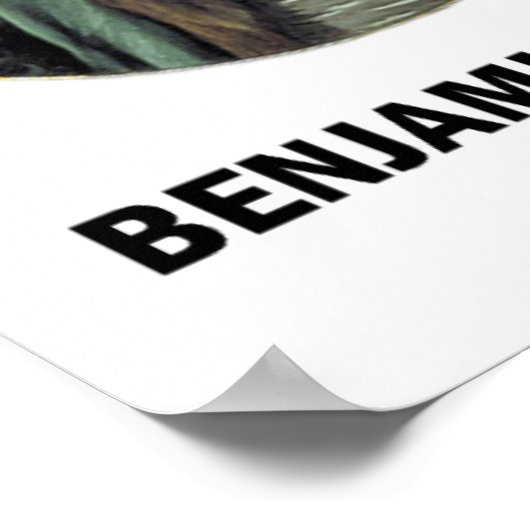 Benjamin Franklin Drie dingen extreem hard Poster (Hoek)