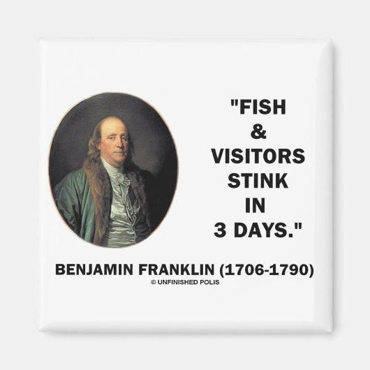 Benjamin Franklin Fish & Visitors stoppen over 3 d Magneet (Voorkant)