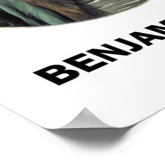 Benjamin Franklin Fish & Visitors stoppen over 3 d Poster (Hoek)