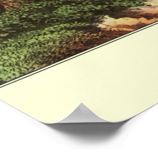 Benjamin Franklin's Kite and Lightning Experiment Poster (Hoek)