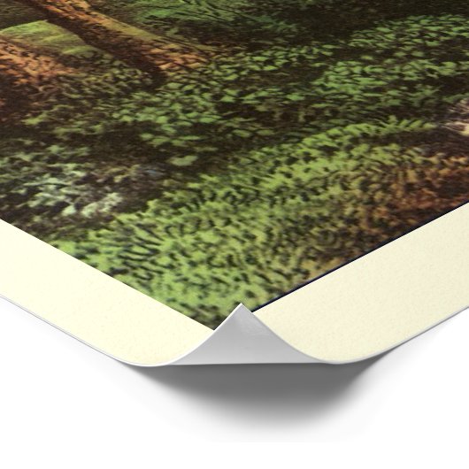 Benjamin Franklin's Kite and Lightning Experiment Poster (Hoek)