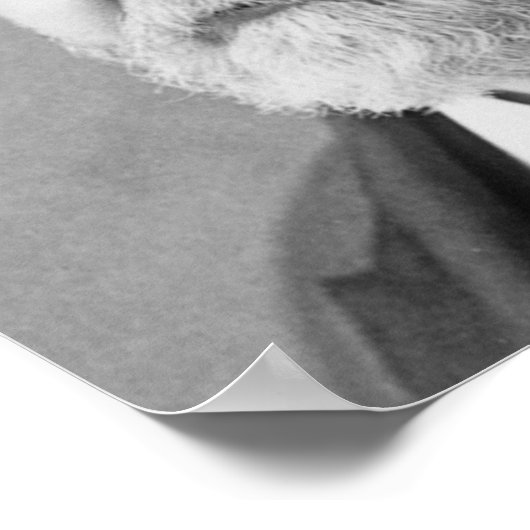 Benjamin Harrison Poster (Hoek)