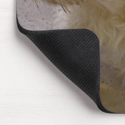 Benji Muismat (Hoek)