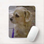 Benji Muismat (Met muis)