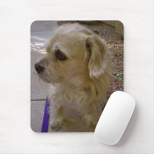 Benji Muismat (Met muis)