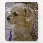 Benji Muismat (Voorkant)