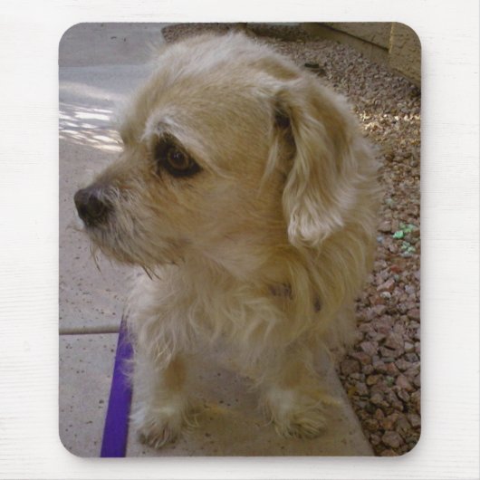 Benji Muismat (Voorkant)