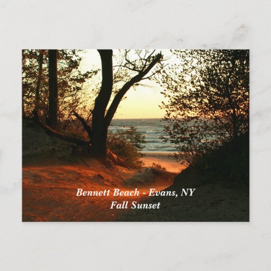 Bennett Beach - Evans, NY Briefkaart (Voorkant)