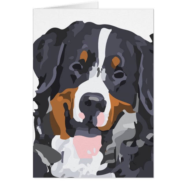 Benny de Berner (Voorkant)