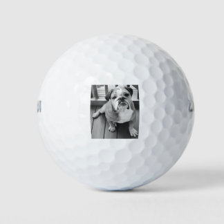 Benny de bulldog golfballen