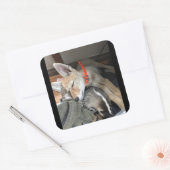 Benny en Doc Stickers (Envelop)