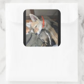 Benny en Doc Stickers (Tas)