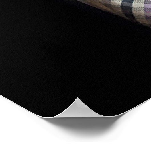 Benoeming van het Hooggerechtshof Poster (Hoek)