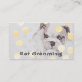 Benoeming van huisdieren voor zwemmen en wegwerppe afsprakenkaartje (Voorkant)