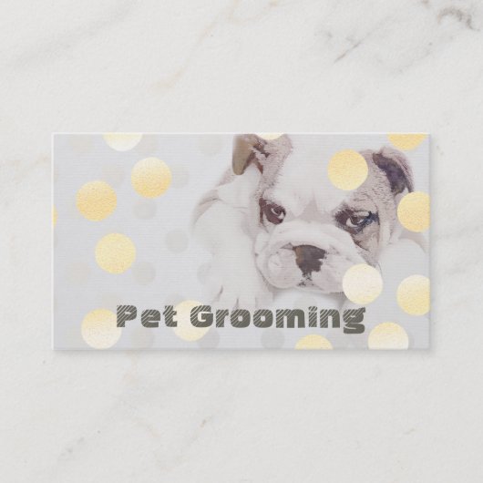 Benoeming van huisdieren voor zwemmen en wegwerppe afsprakenkaartje (Voorkant)