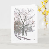 +Benoemingen in Natuur: De grootte van de groet Kaart (Gele Bloem)