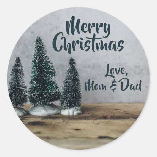 Benseelpenselen met flesjes driftwood-slagerblokte ronde sticker (Voorkant)