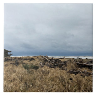 Benson Beach, Cape Disappointment, WA Tegeltje