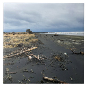 Benson Beach, Cape Disappointment, WA Tegeltje