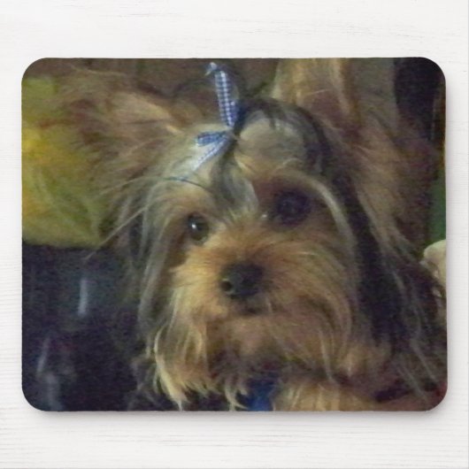 BENSON MUISMAT (Voorkant)