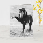 Benson slaat Wenskaart van wilde paarden neer Kaart (Gele Bloem)