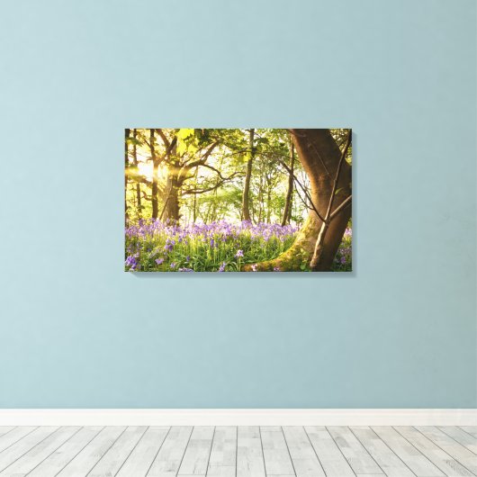 Bent-boom in het bos van de blauwbel canvas afdruk (Insitu (Houten vloer))