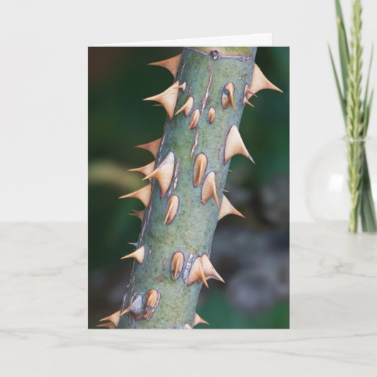 Bent u Klaar? Kaart (Voorkant)