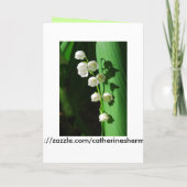 Bent u mijn dienstmeisje van eer Lily van de Valle (Achterkant)