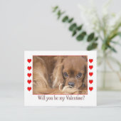 Bent u mijn Valentijnsdag Spaniel Briefkaart? Feestdagenkaart (Staand voorkant)