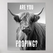 Bent u Pooping Highland Koe Toilet Humor Badkamer Poster (Voorkant)